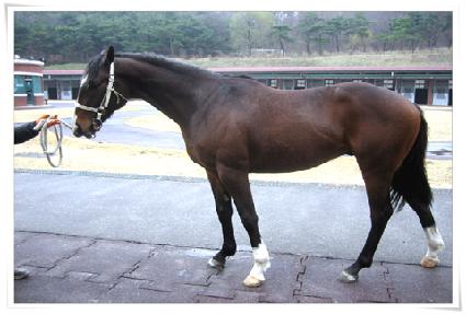 ��Ʈ����Ʈ ����