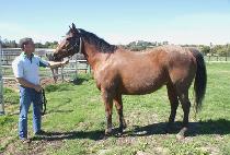 PRIVATE PLANE picture