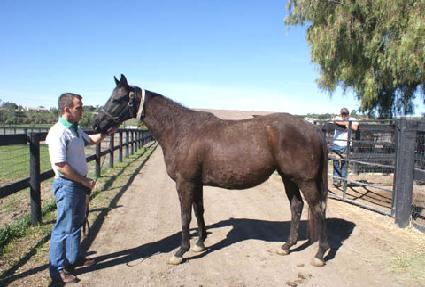 ���Ѹ� ����