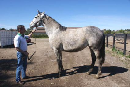 Ƽ������� ����