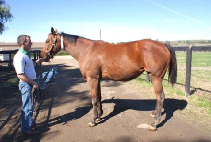 ���׳�ƽ�÷��̽� ����