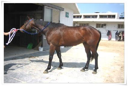 �ε���ũ�� ����