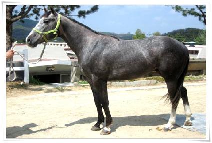 ����������� ����