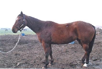 ������̴� ����