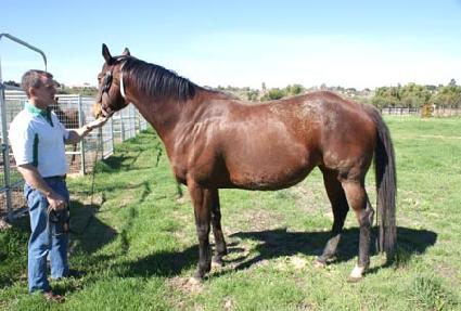 è�������� ����