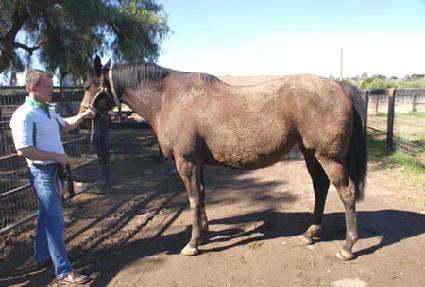 ����Ʈ����Ǫ���� ����