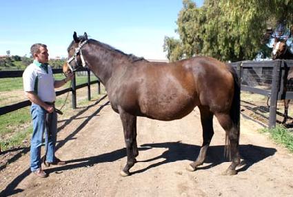 ��������� ����