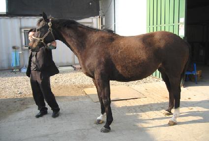 ������������ ����