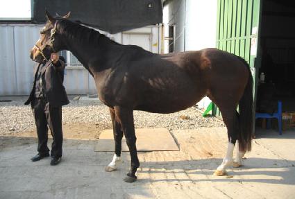 ���������� ����