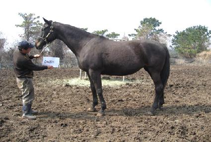 ������ ����