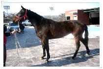 �뼺��ȭ (DAESEONGSINHWA) ����