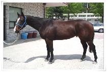 ��������� (SUMMA CUM LAUDE) ����