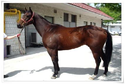 ����δ� ����