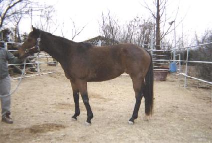 �ó뺧�� ����