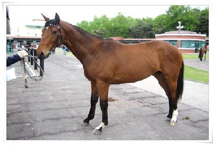 ��ũ�θǼ� ����