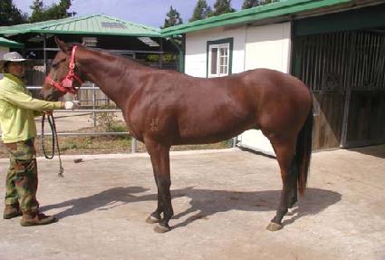 ����󼼺� ����