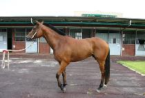 õ����� (CHEONJI JANGSU) ����