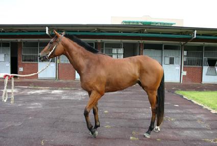 õ����� ����