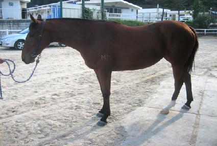 Ž�����ũ ����