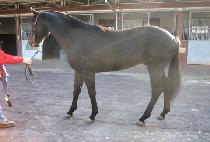 �溰 (HEUKBYEOL) ����