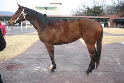 ���� ����