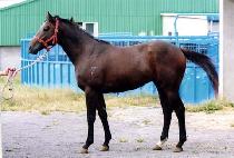 ȯ�����Լ� (HWANHUIUI HAMSEONG) ����