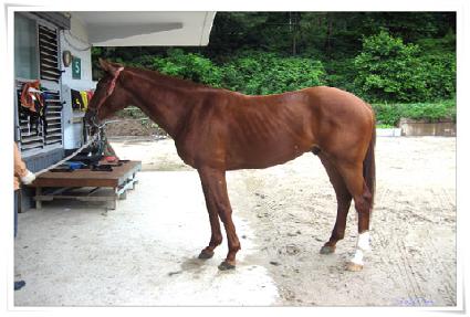 ǻ��ٽ�ũ ����