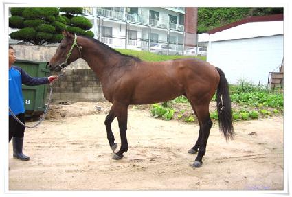 ������������� ����