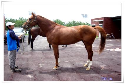 ���ʷ����� ����