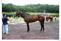 �������� (BYEOLBIT CHUKJE) ����