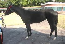 ���Ŀ� (MOON POWER) ����