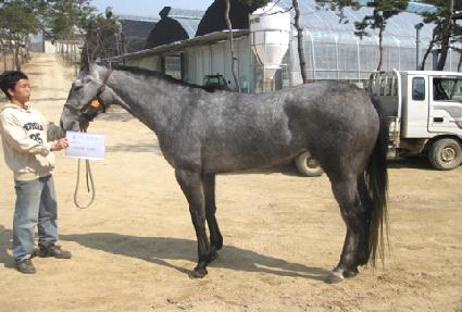 Ȧ���帲���� ����