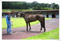 ũ������ (CREEK LAND) ����