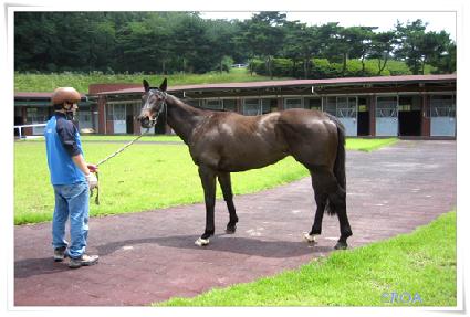 ũ������ ����