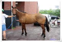 û�ĸ��� (CHEONGPAMYEONGJANG) ����