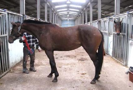 �����������̼��� ����