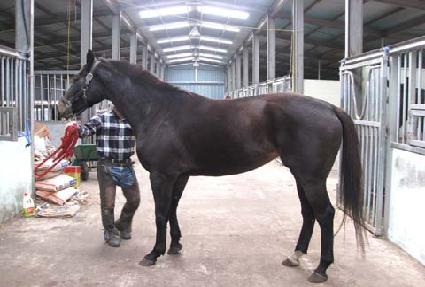 ��������� ����