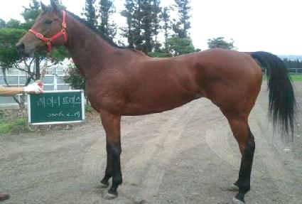 ���̵������� ����