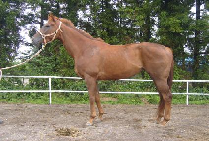 ������è�� ����