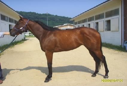 ��ٵ�ǳ ����