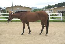 �óʽ��ͼ� (SINISTER SOUL) ����