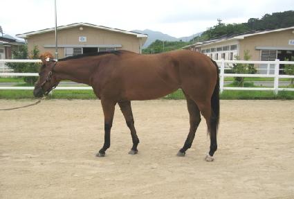 �óʽ��ͼ� ����