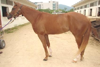 �Ǿ�ٰ� ����