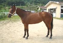 �Ӿ�������� (WHAT A SURPRISE) ����