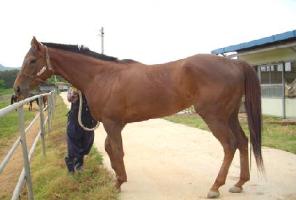 ������۸��� ����