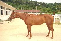 �Ѿƶ� (HANARA) ����