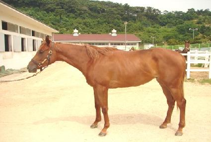 �Ѿƶ� ����