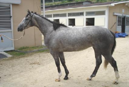 ����Ƽ����� ����