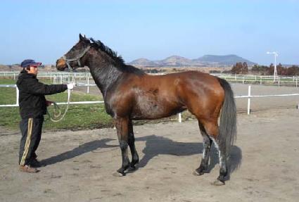 �̰������帲 ����