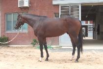 ���̾�Ʈ�ǵ���Ʈ (GIANT MANDATE) ����